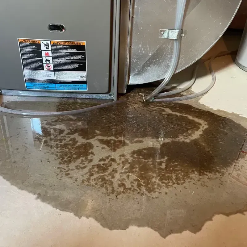 Appliance Leak Cleanup in Lake in the Hills, IL